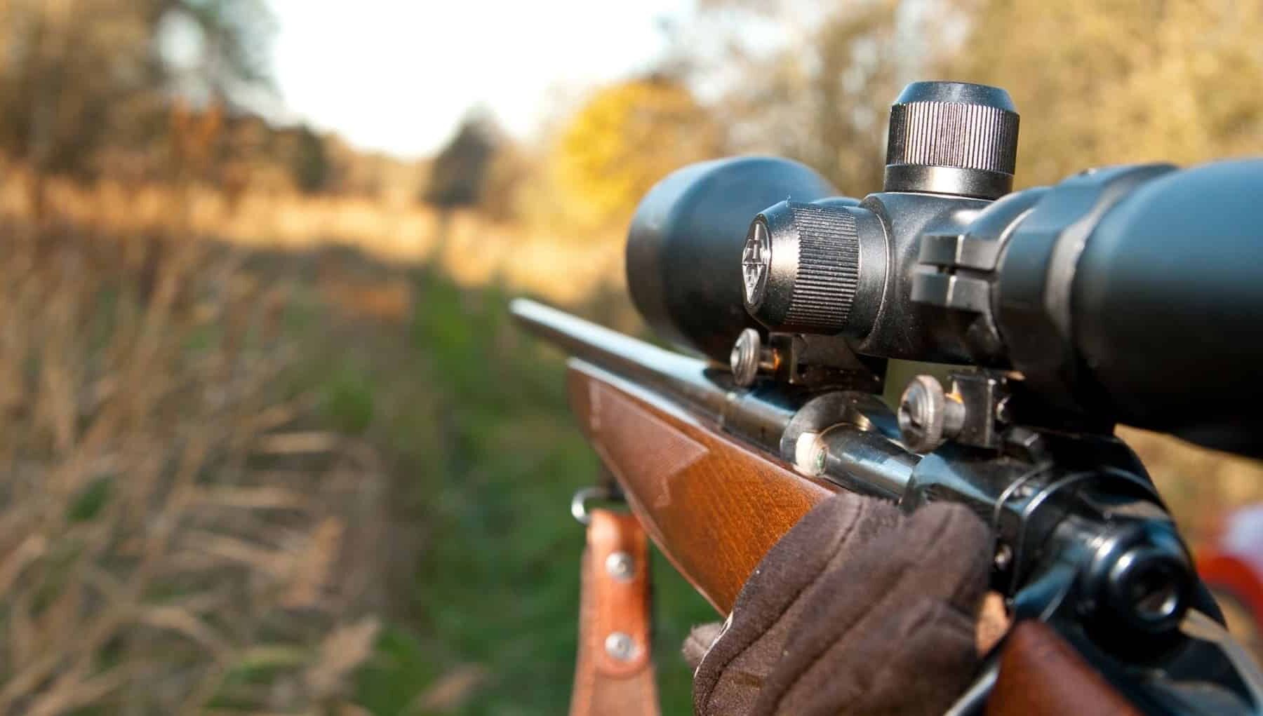 Caza Castilla-La Mancha ilegal lobby cinegético