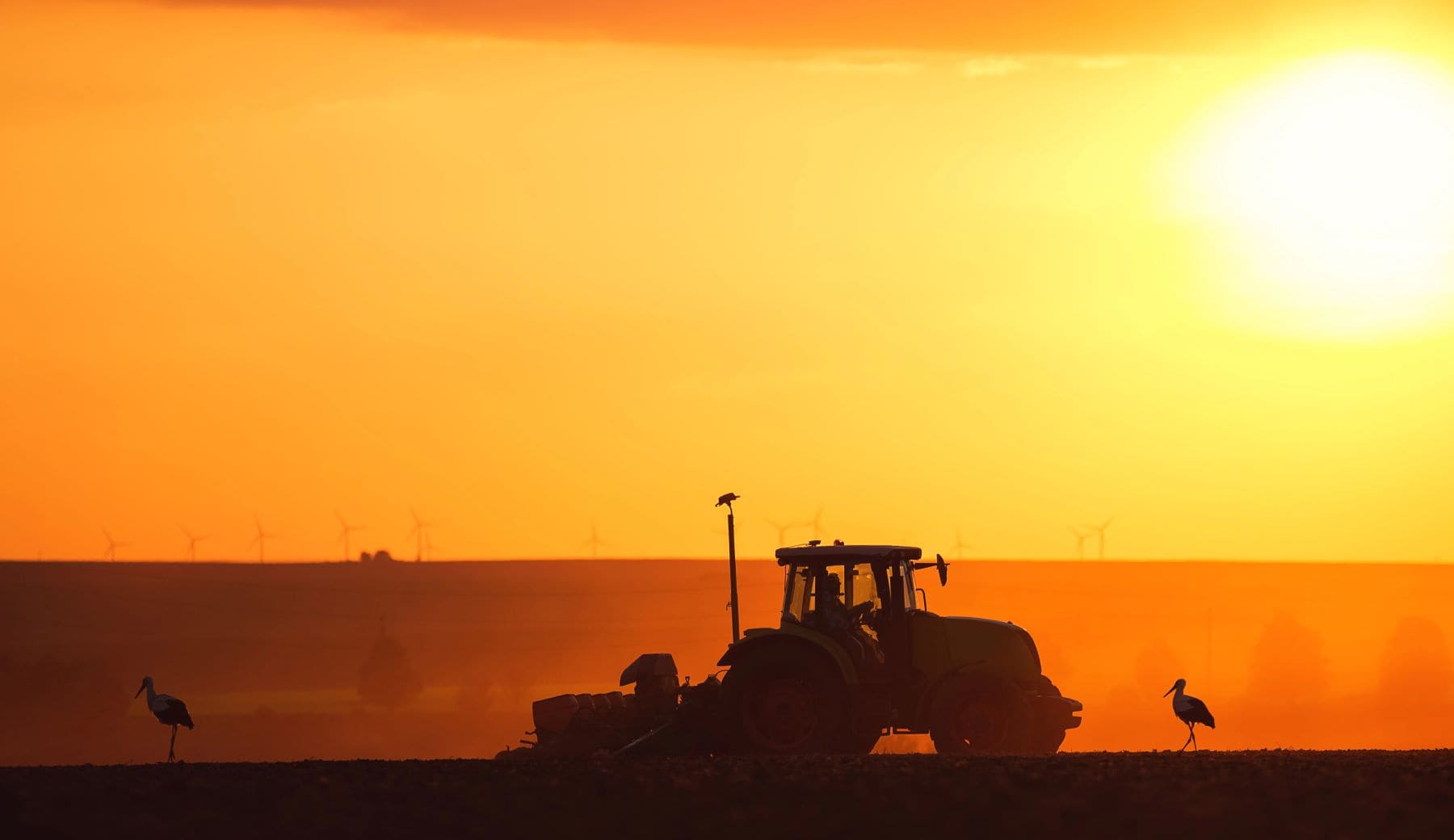 Fracaso eco-regímenes agricultura UE