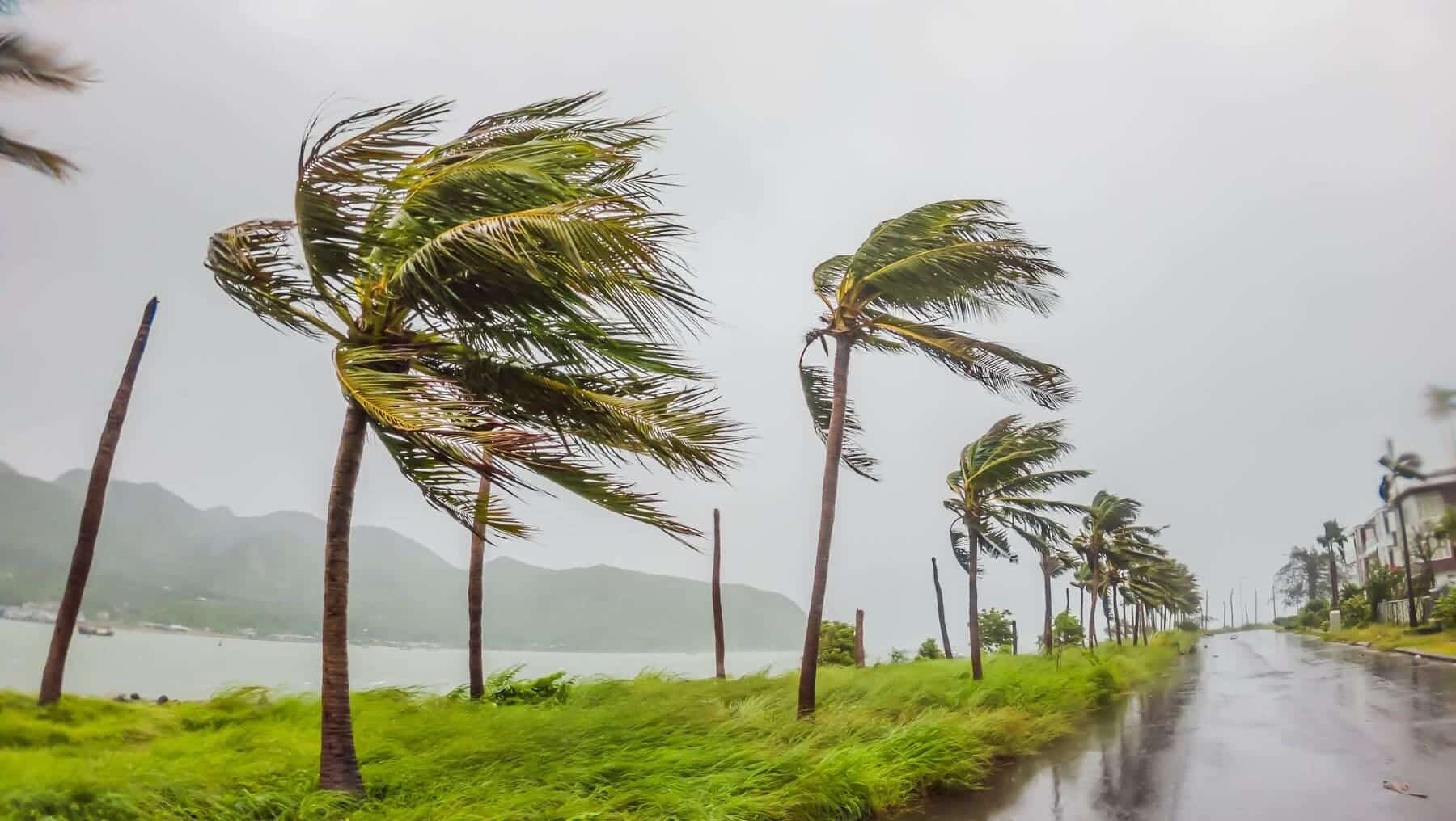 huracán Beryl cambio climático Caribe