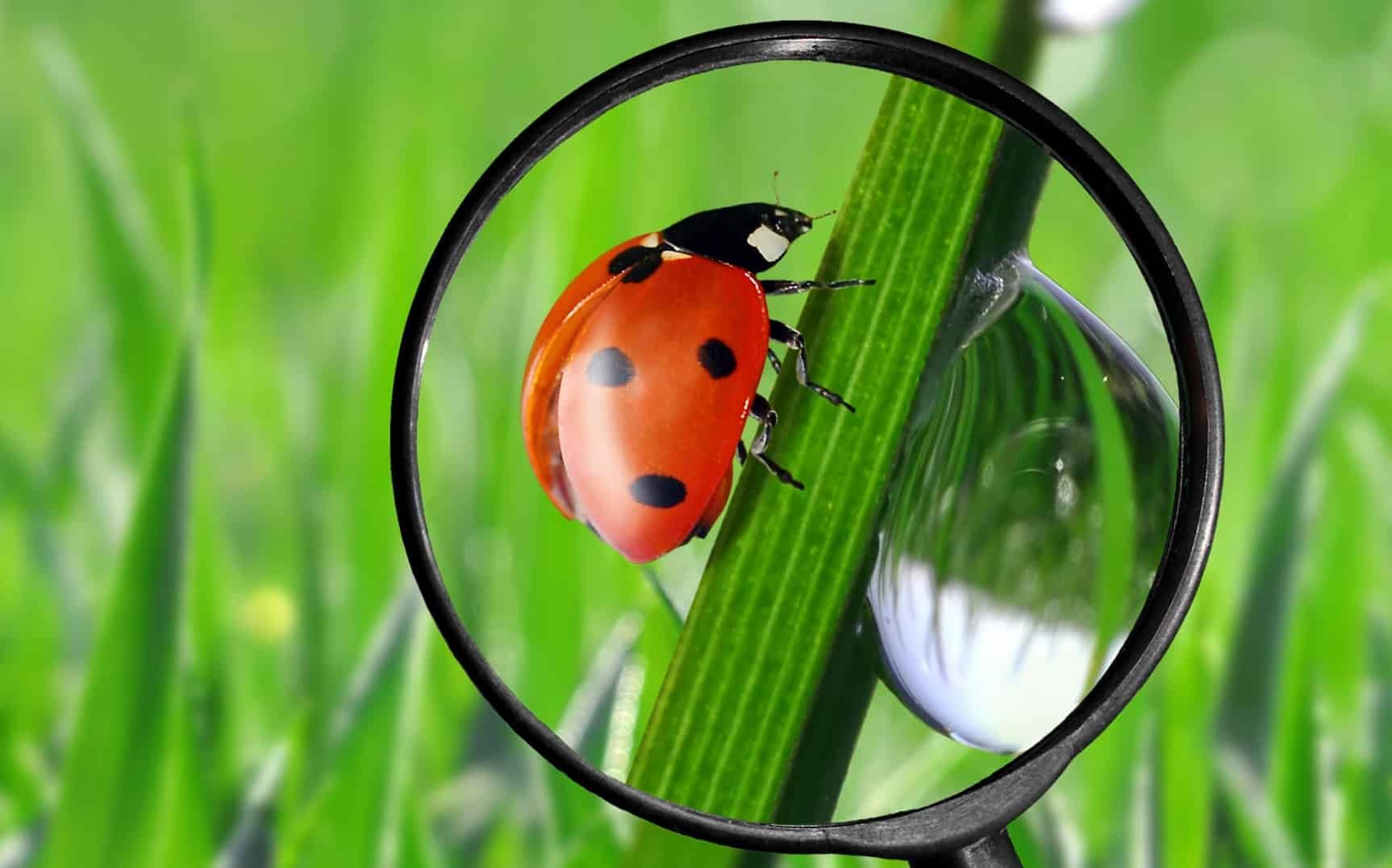 Observatorio Patrimonio Natural Biodiversidad Índice Planeta Vivo