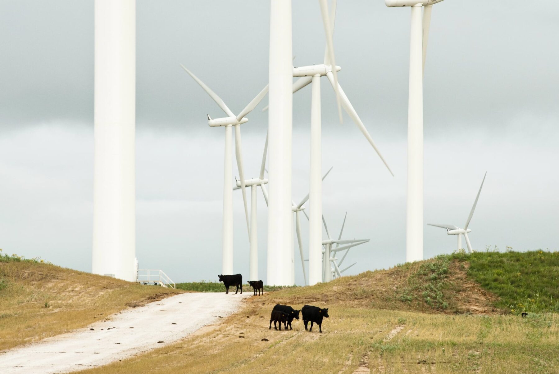 Estados Unidos aranceles antidumping Siemens Gamesa Renewable Energy Windar Renovables