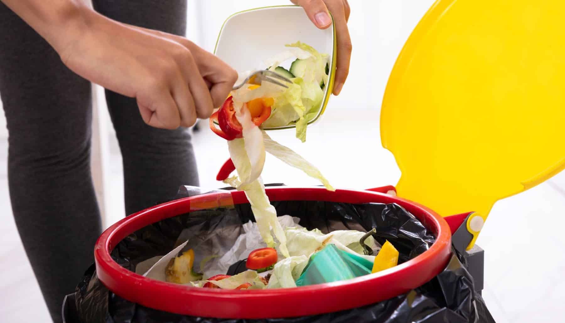 Recircular Alimentación Estrategia Vasca Despilfarro Alimentos