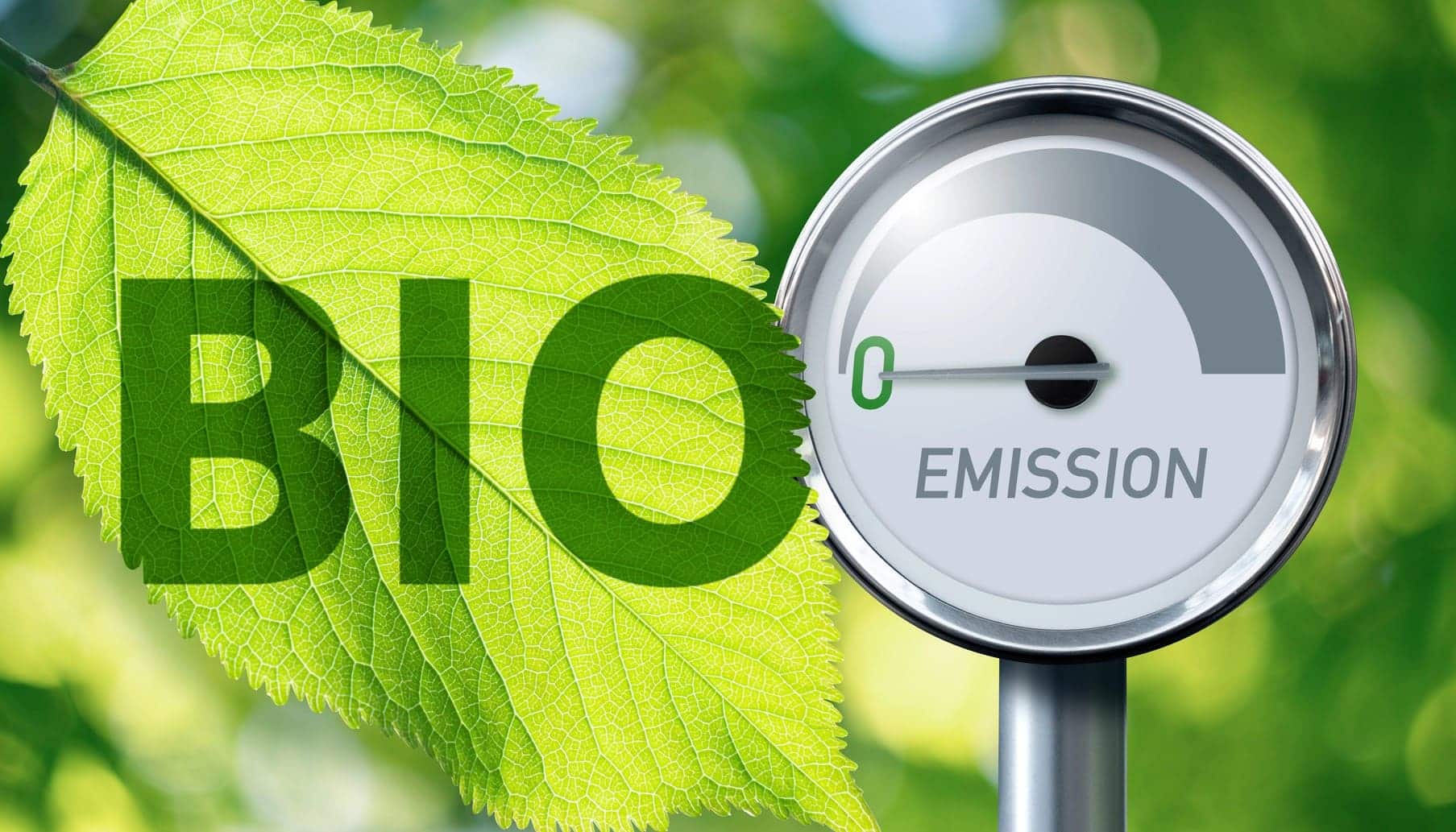 Datos Energéticos Andalucía 2023 descarbonización energías renovables