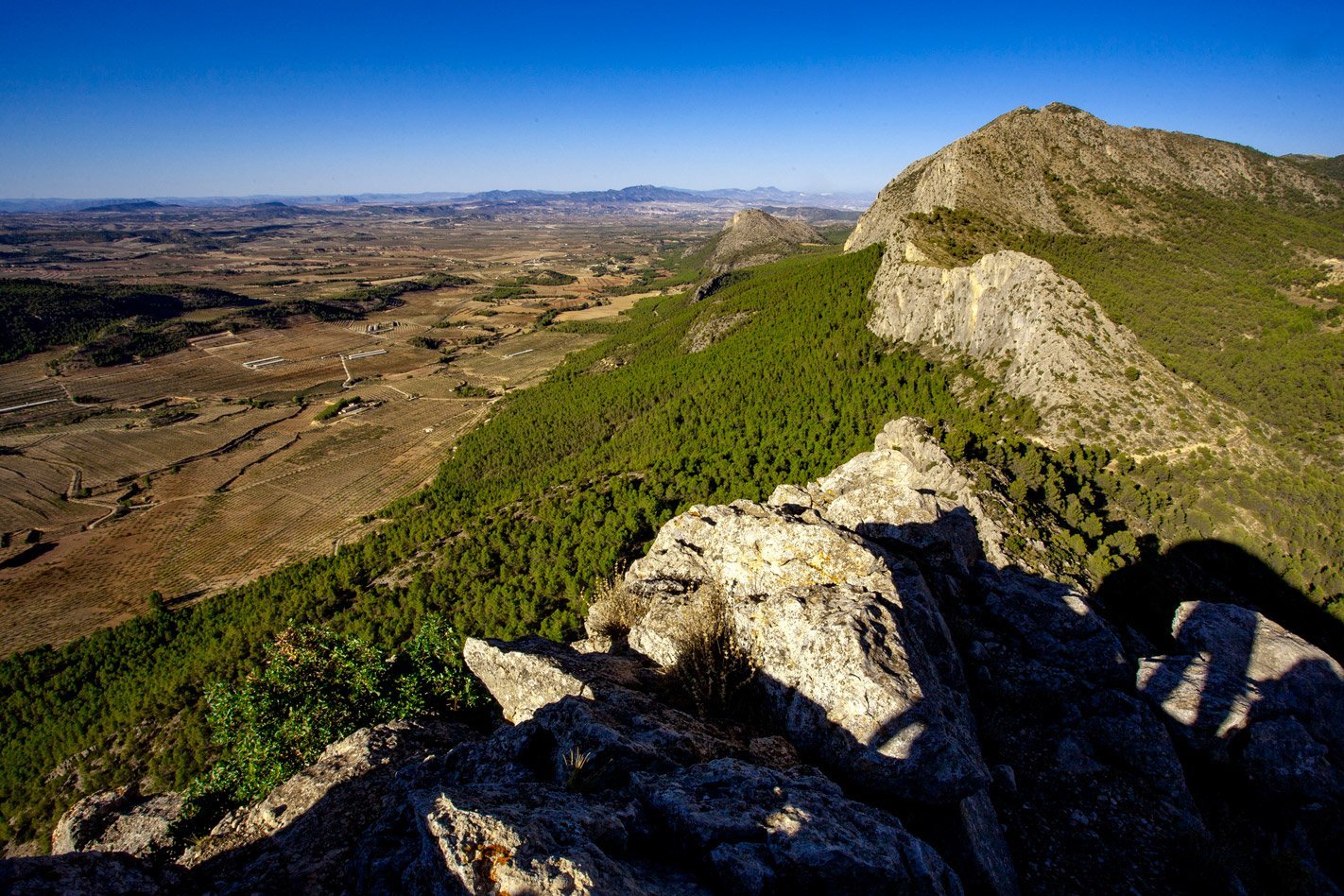 Jornadas empresas CETS Parque Regional Sierra Espuña