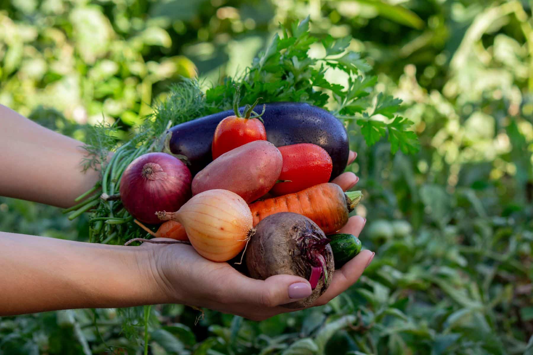Generalitat Valenciana productores ecológicos