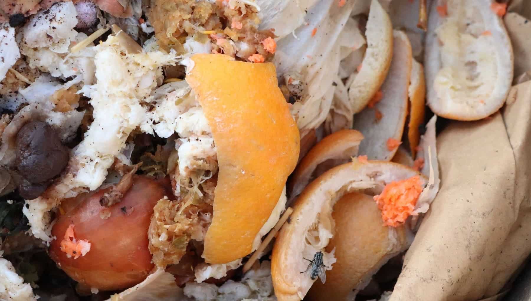 UE economía circular textiles reducir desperdicio alimentos