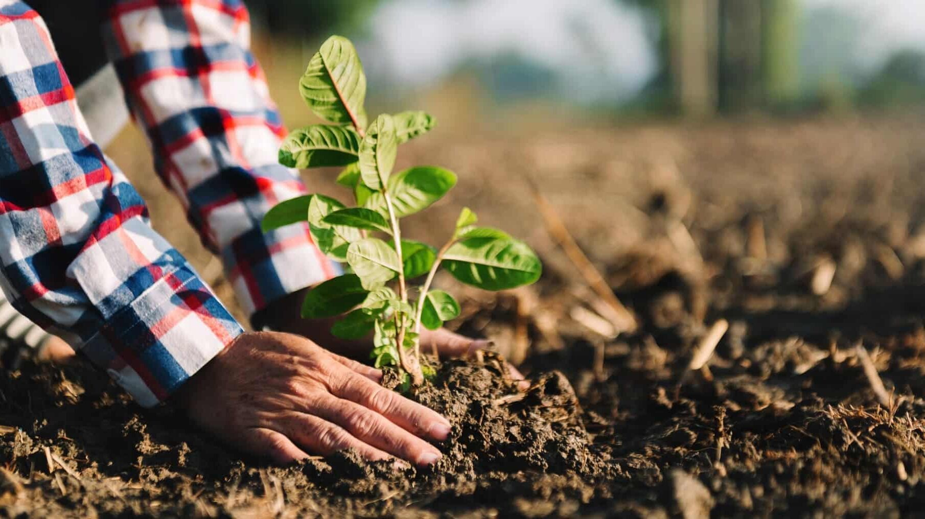 UE agricultura amenazas medioambientales climáticas