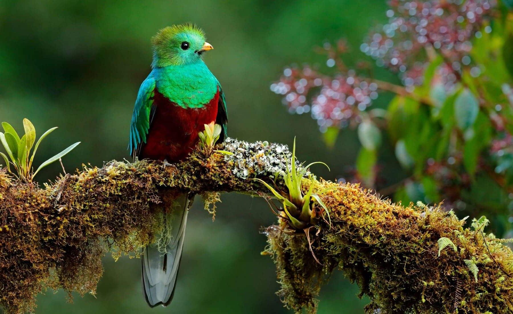 policías capacitados tráfico vida silvestre