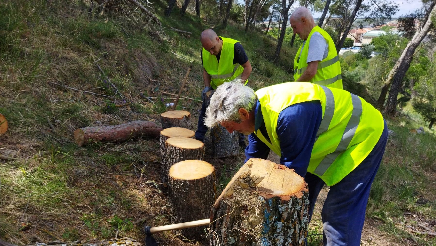 Navarra ayudas proyectos educación sensibilización voluntariado ambiental