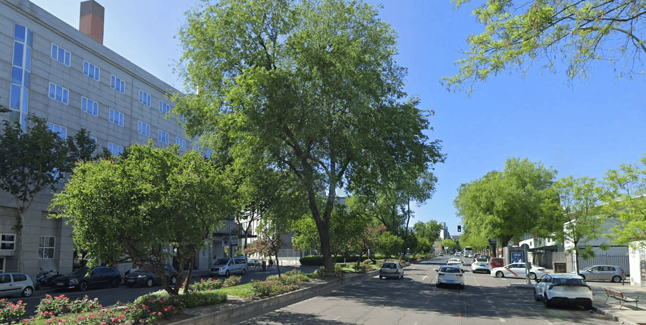 386 árboles peligro obras ampliación estación Puerta de Atocha-Almudena Grandes