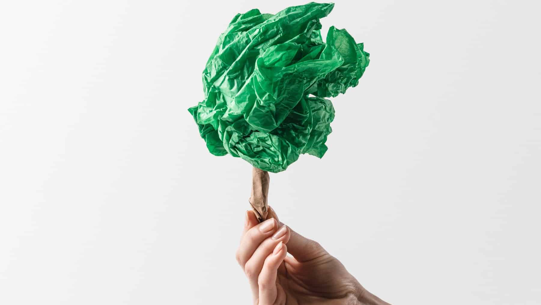 Proyecto ReBioCycle innovación reciclaje bioplásticos