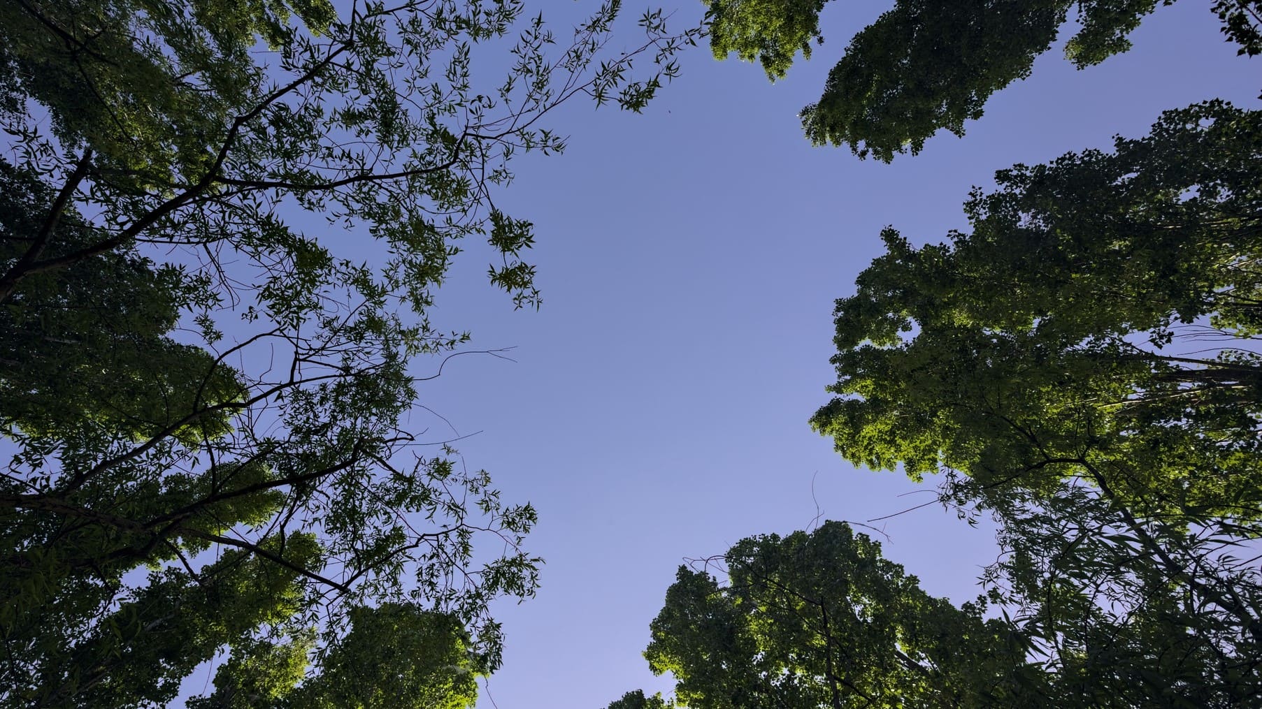 Proyecto europeo PaleOpen recopilará datos proteger ecosistemas