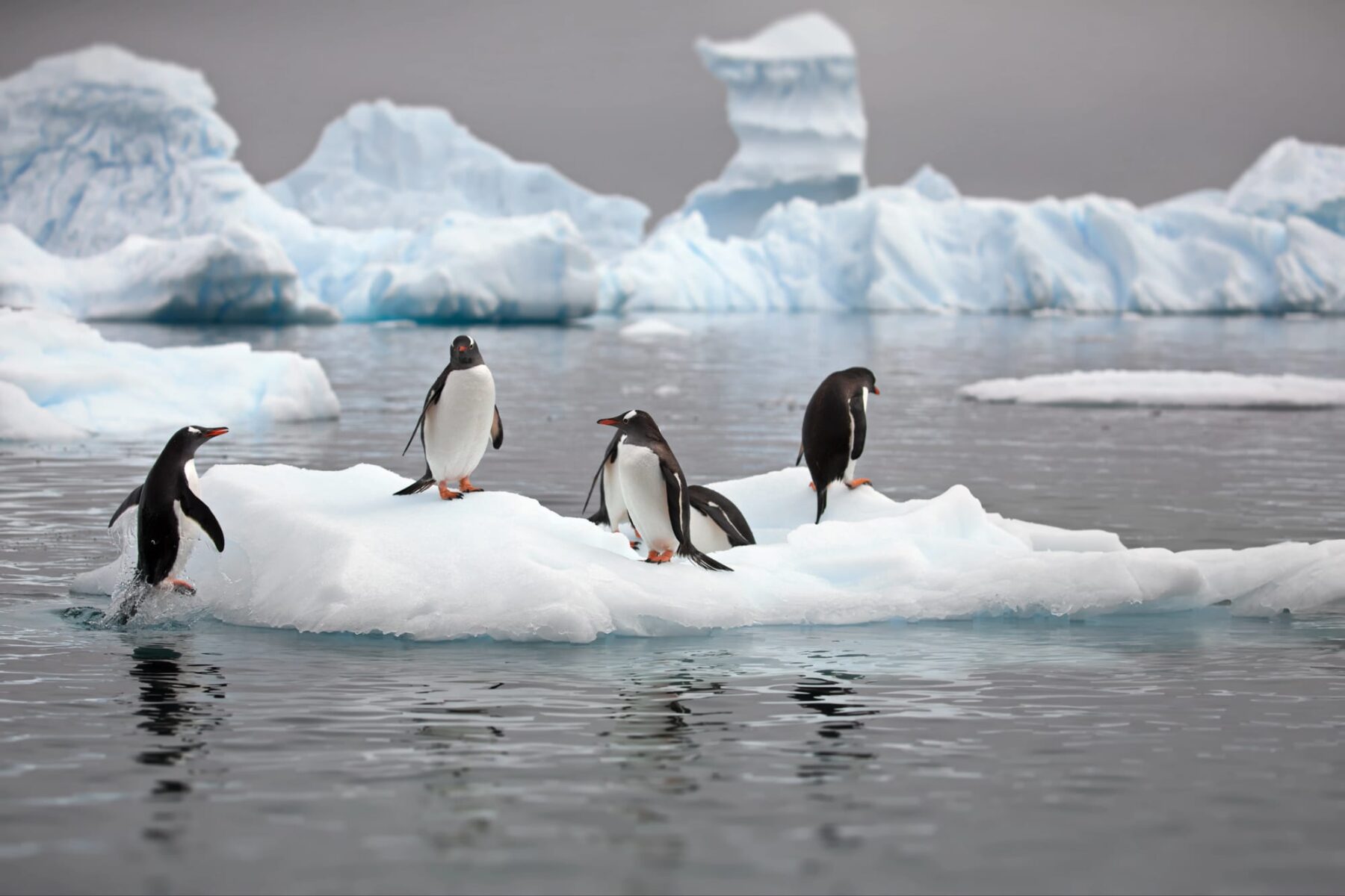 Récord calor enero 2025