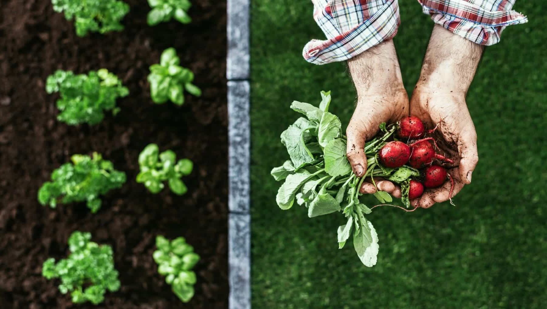 Murcia productos ecológicos 2.500 millones