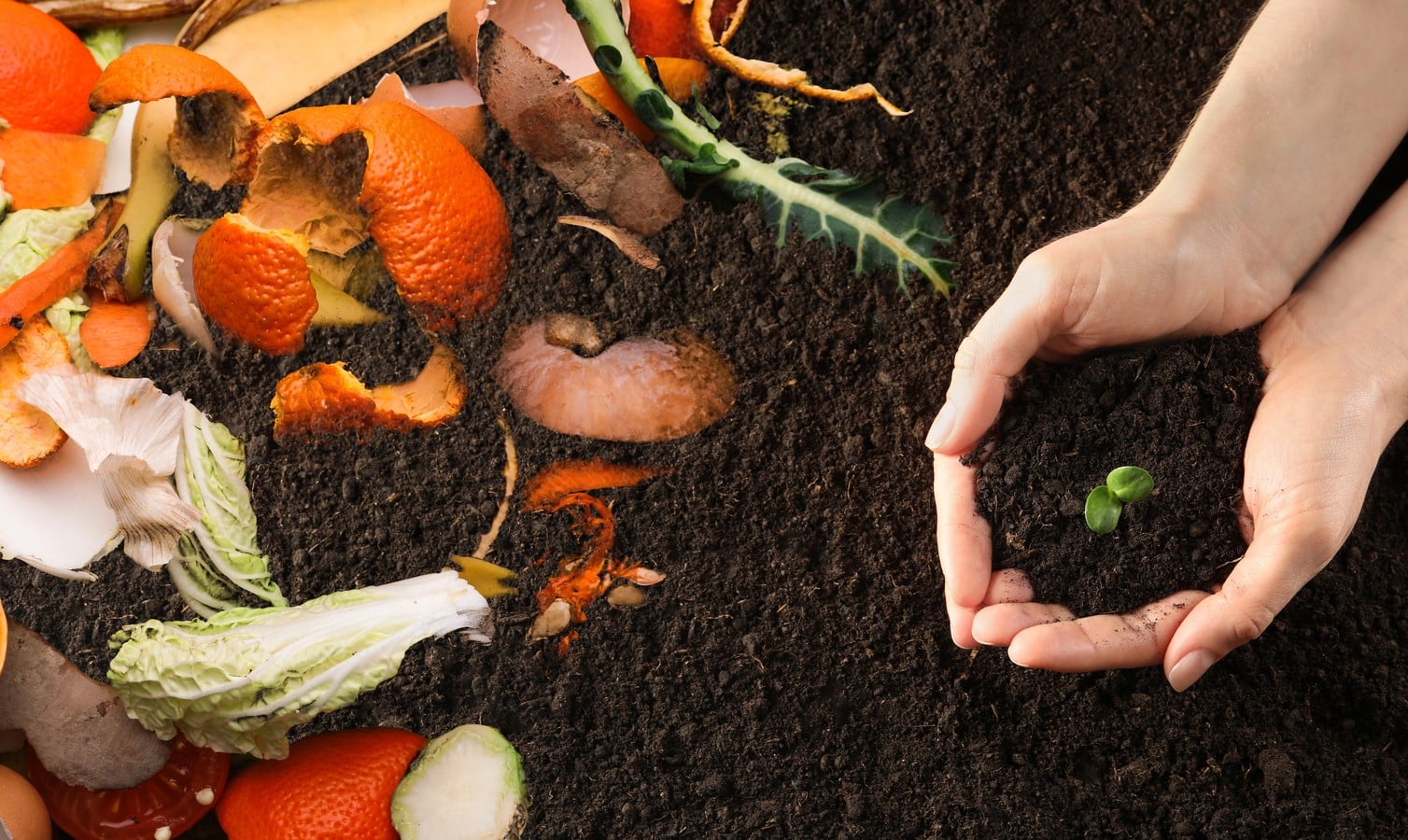 Santiurde de Reinosa recogida biorresiduos compostaje doméstico