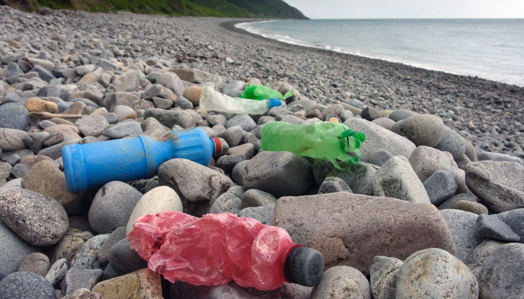 VII edición Plásticos Economía Circular profesionales