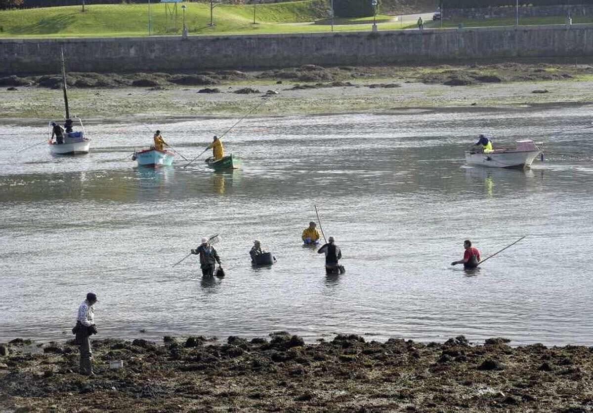 200 denuncias delitos furtivismo Galicia