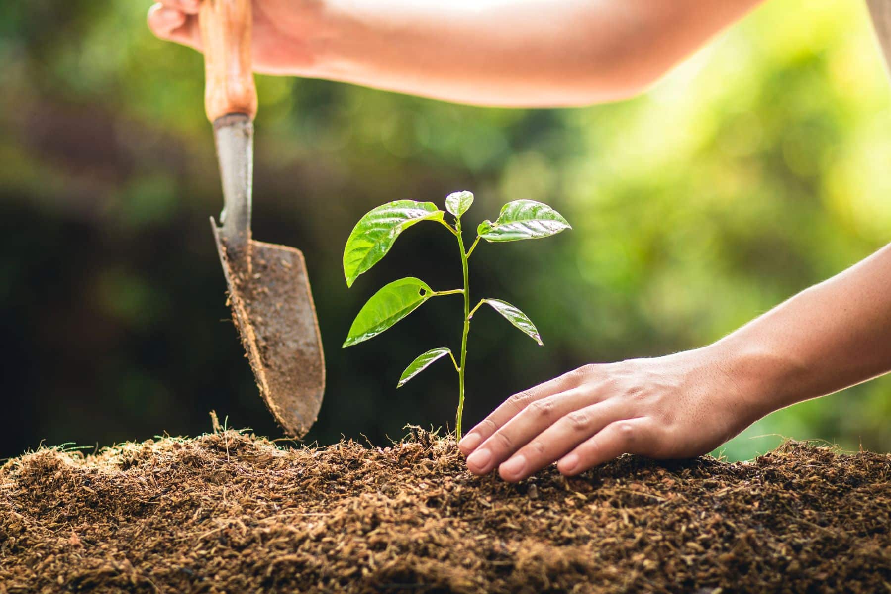 Alicante Renace espacios naturales