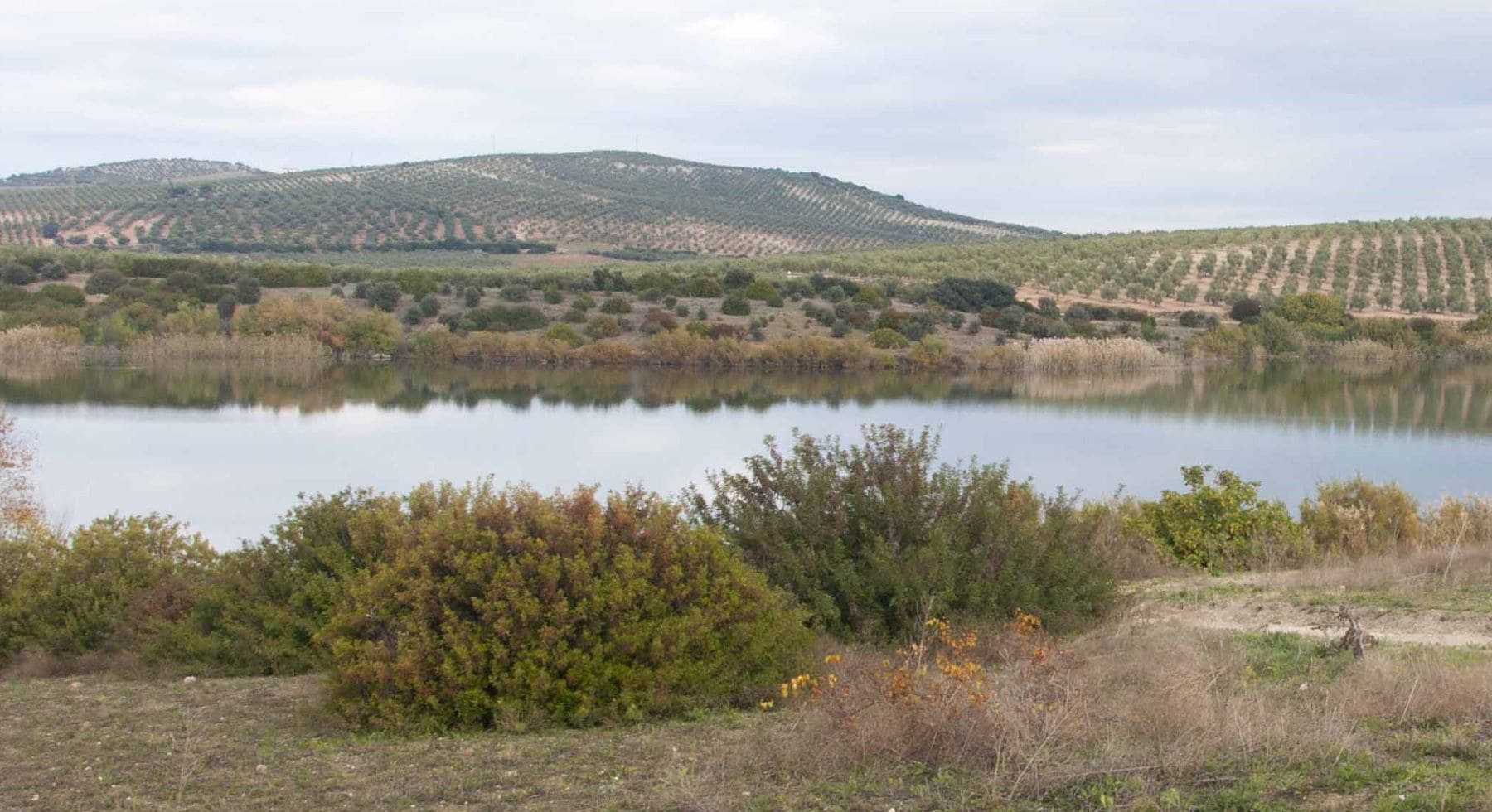 Andalucía 25 humedales Lista Ramsar