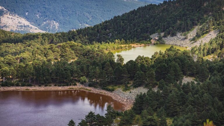 Balance Primer Congreso Nacional sobre Montes Públicos
