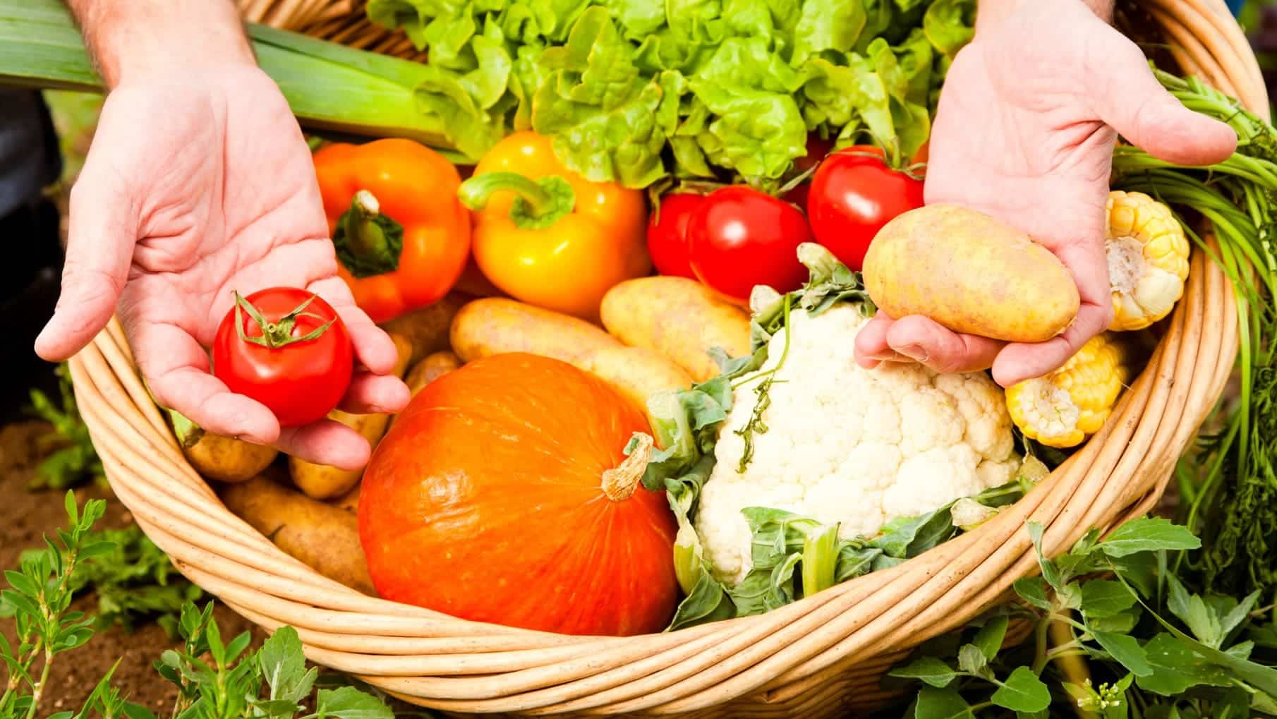 BioCantabria 2025 producto ecológico proximidad Santander