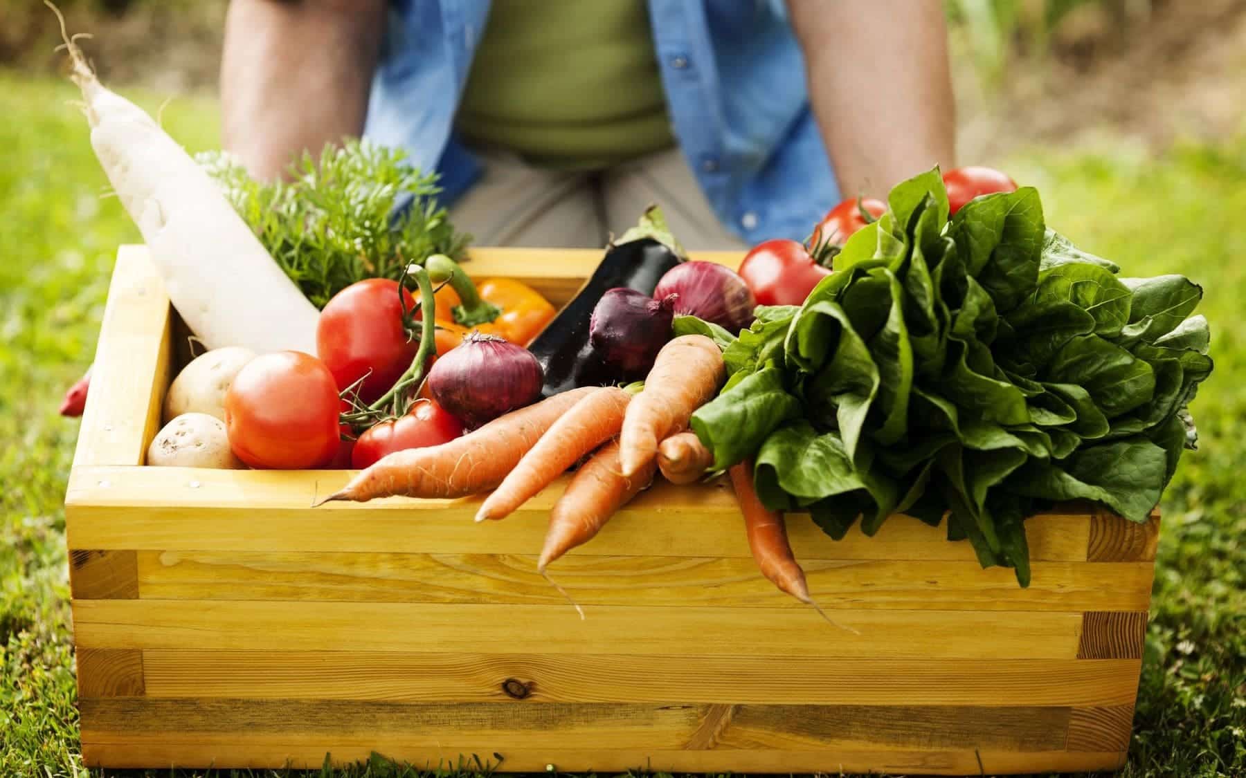 BioCultura BCN 2025 estands adjudicados