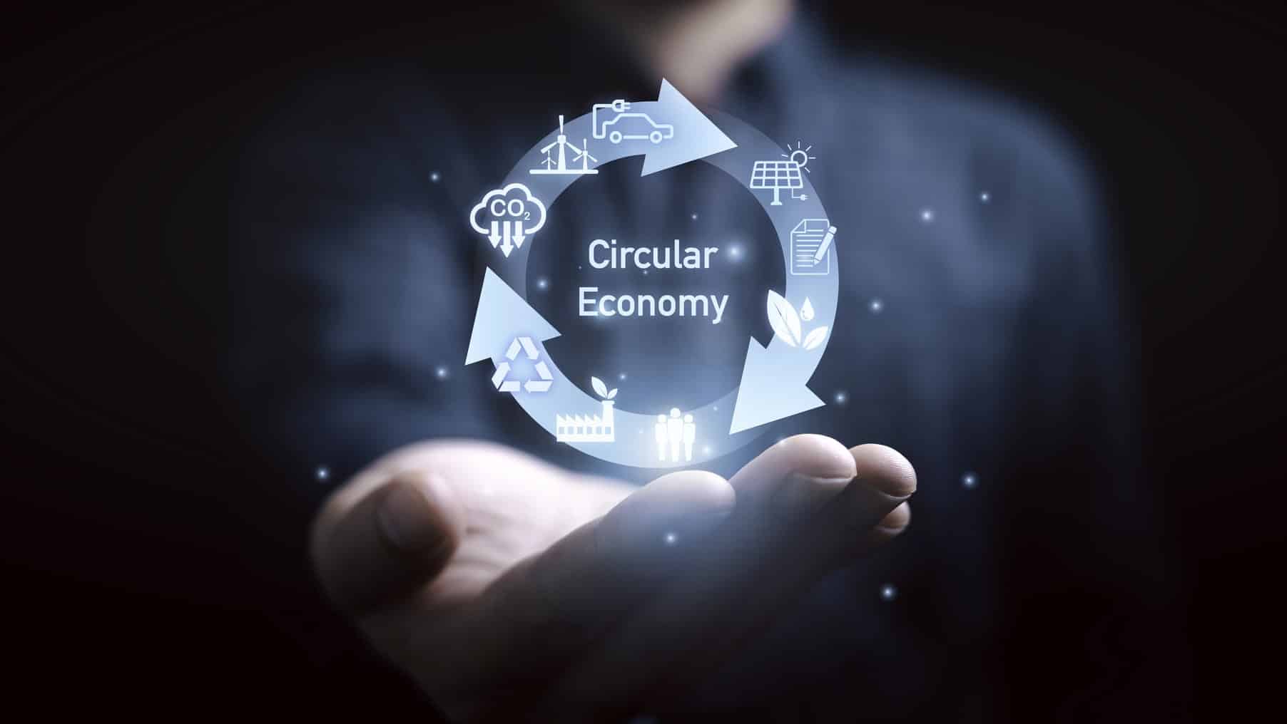 Bruselas navarra eciv