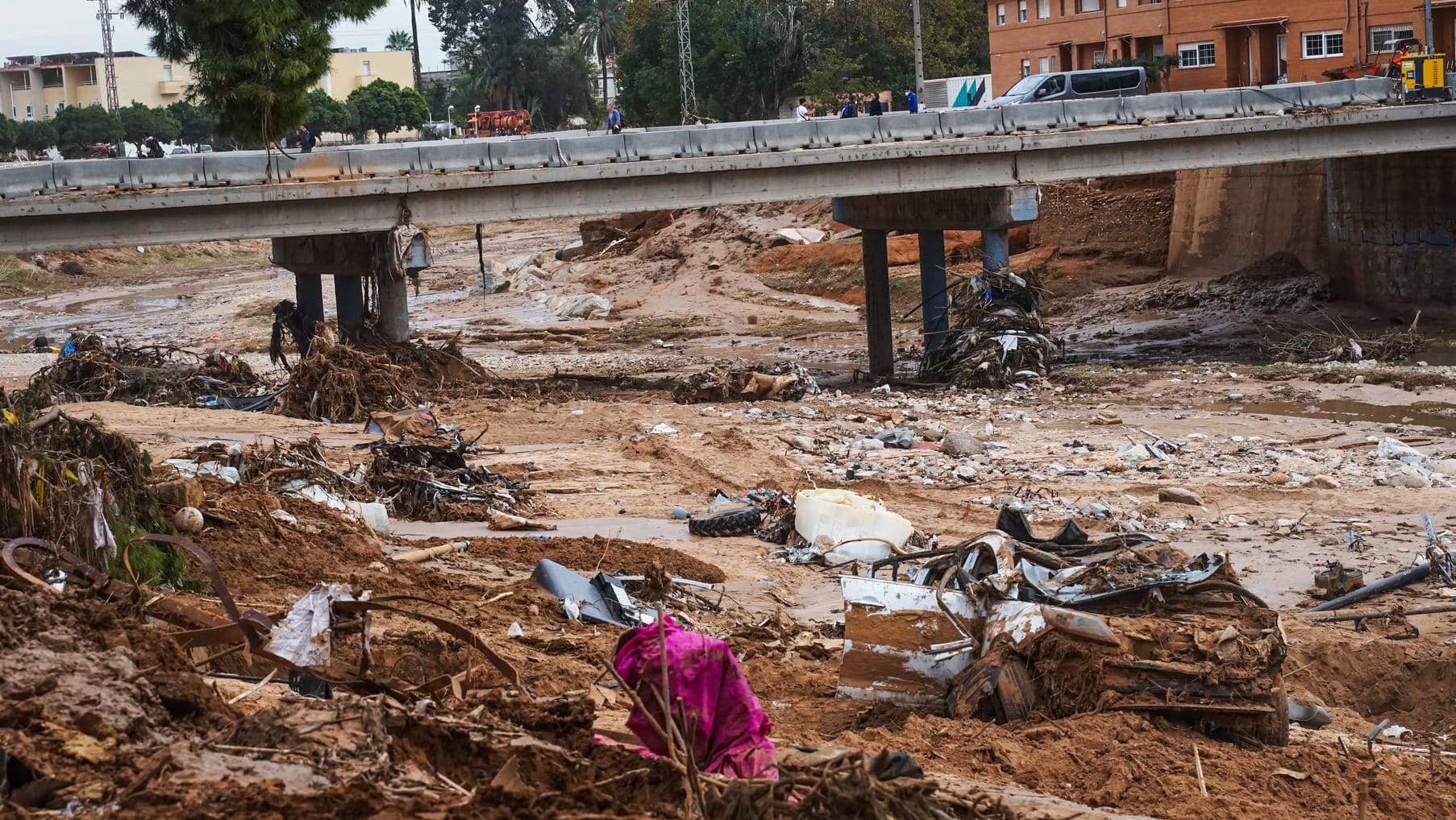 Dana industria origen animal colapso climático