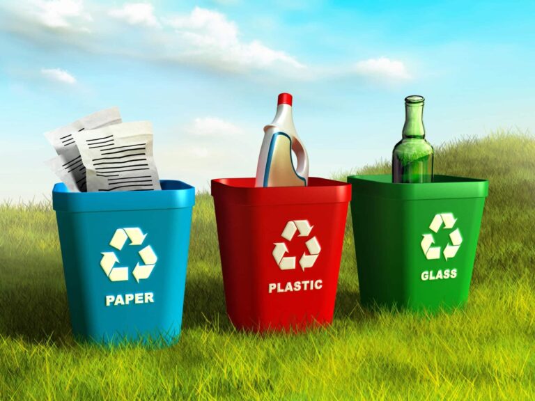 Día Internacional Cero Desechos 2025 engañar ECOEMBES