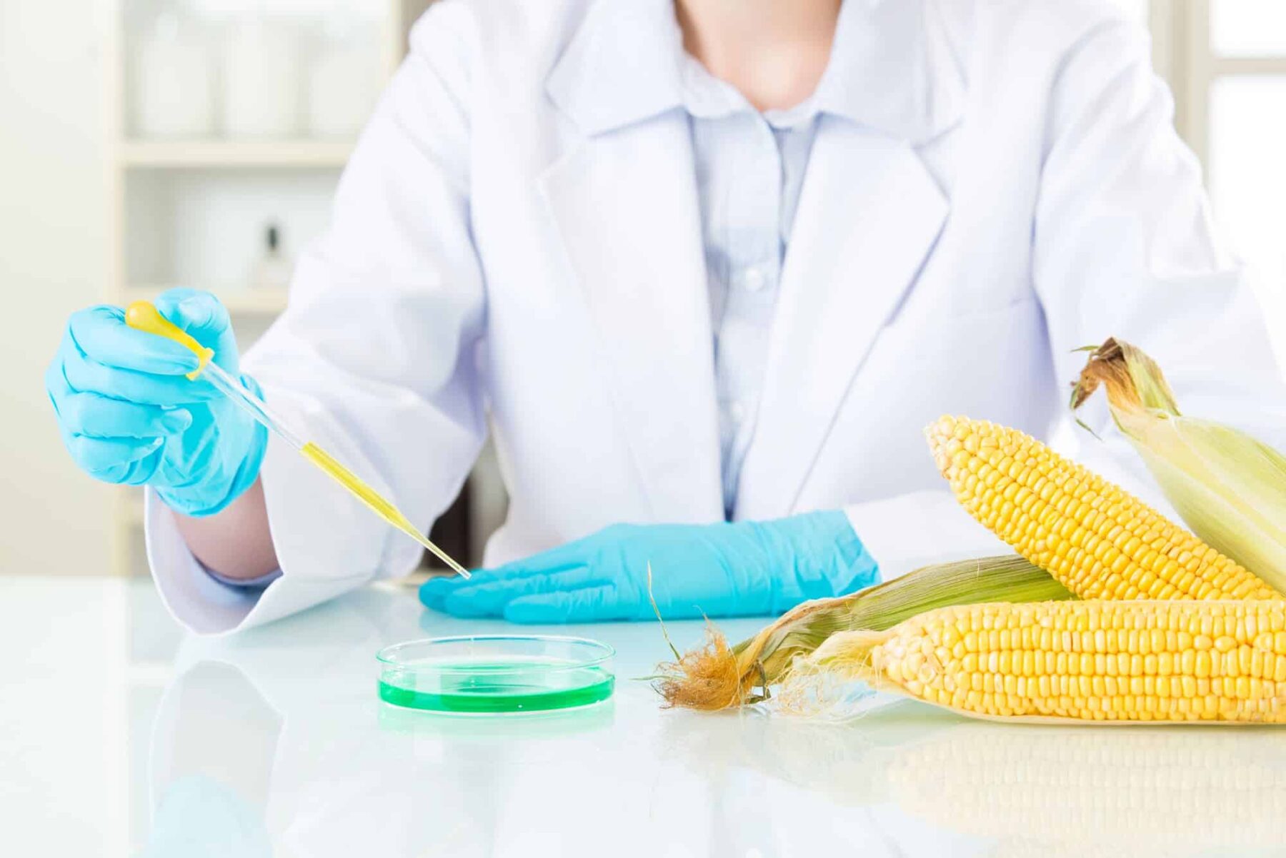 Día Internacional Oposición Transgénicos 2025