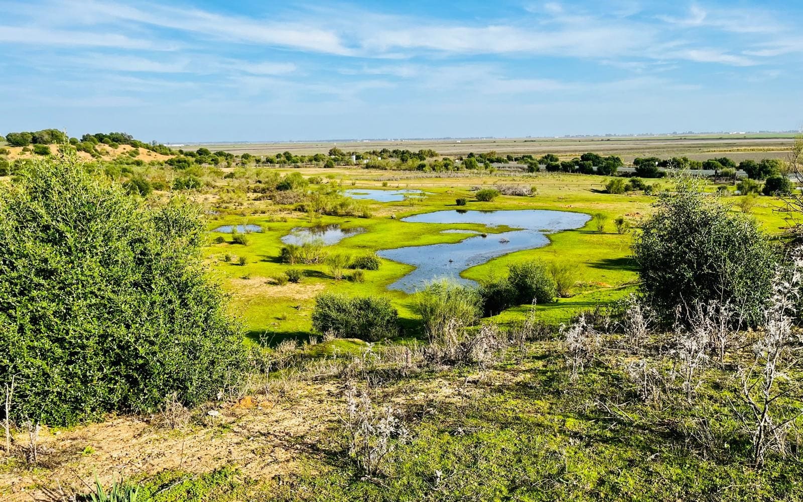 Doñana propuestas MITECO mejora ambiental