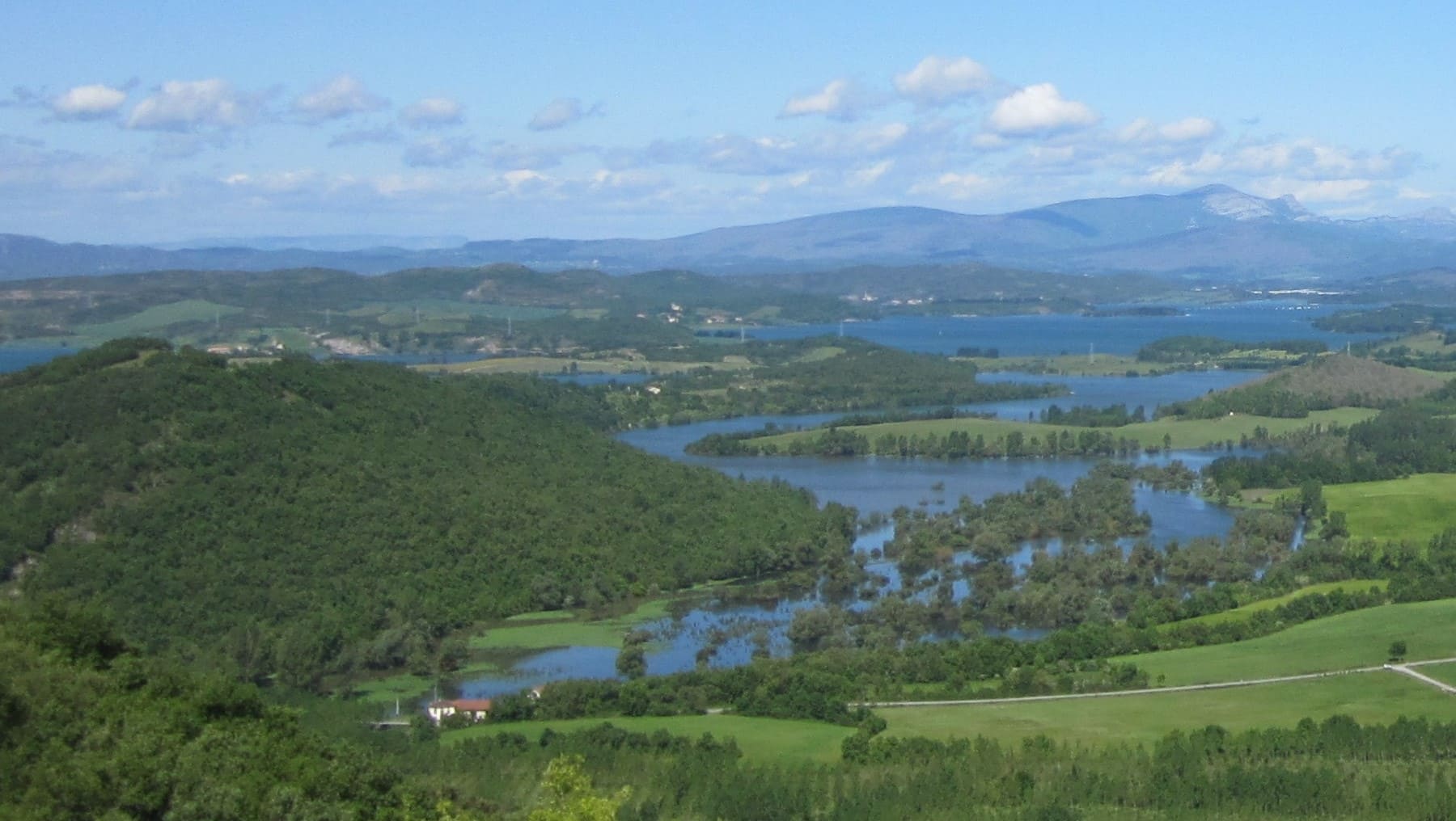 Euskadi márgenes ríos chopera