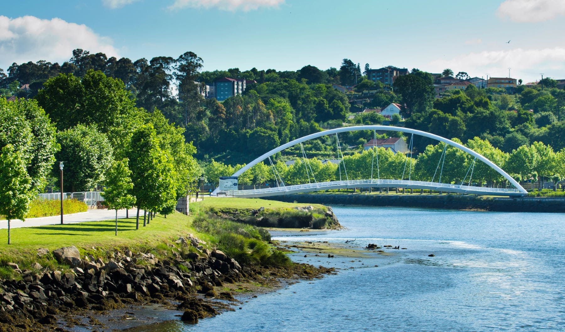 recuperación ambiental Río Lérez