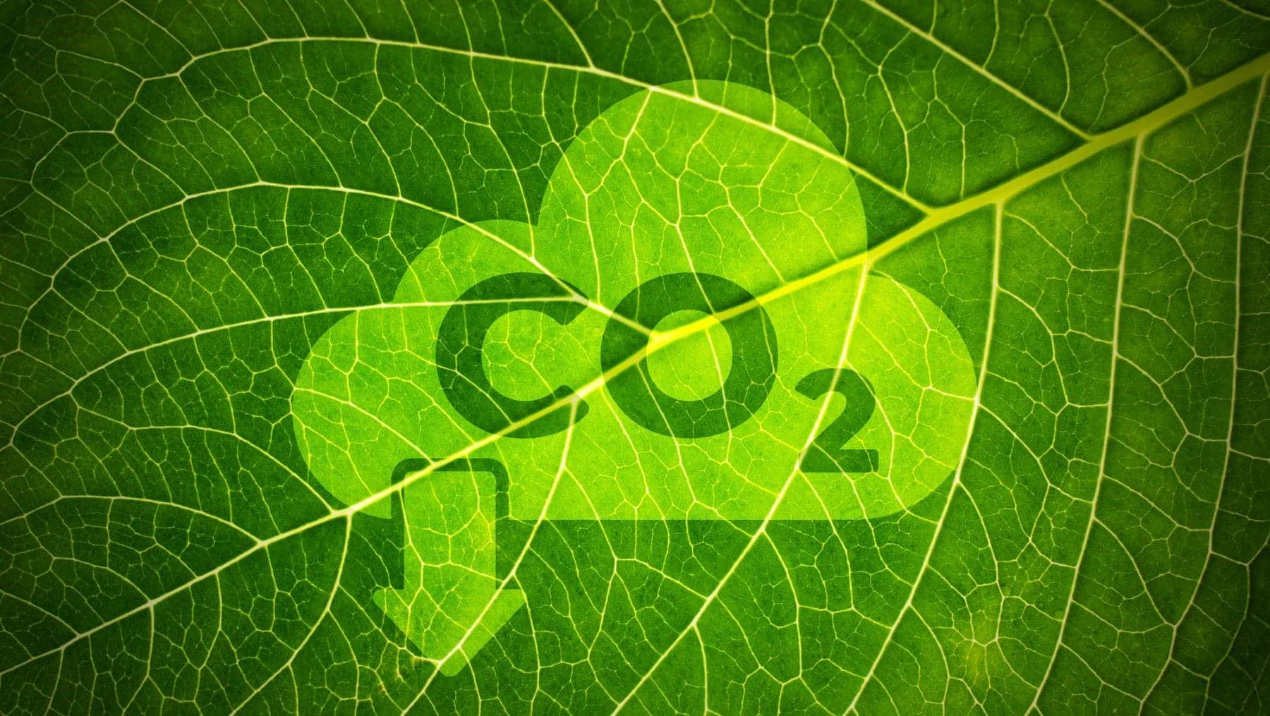 Comunidad Madrid transición energética accesible eficiente