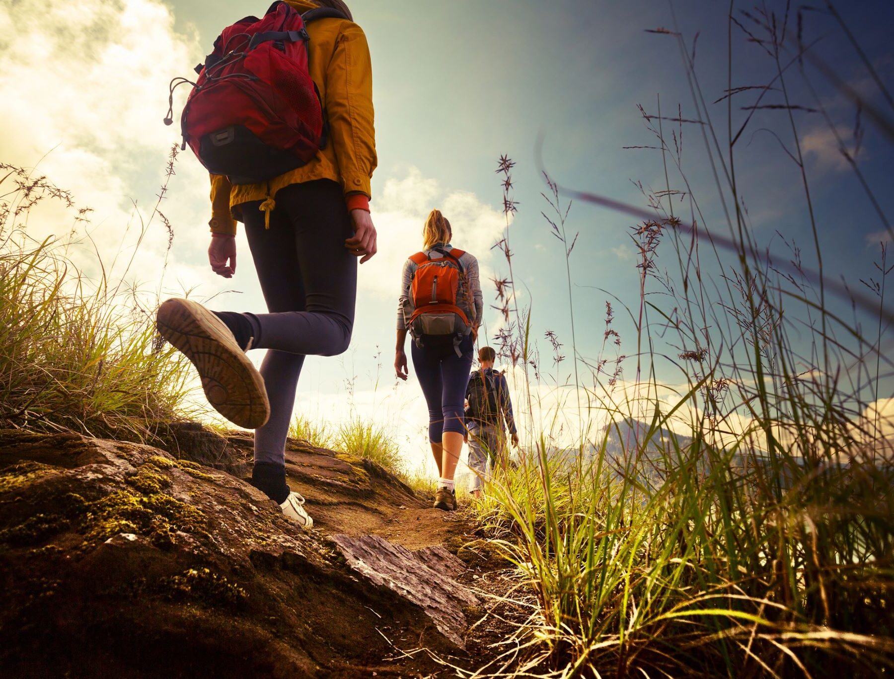 Rioja Ruta Verde Valle Lengua