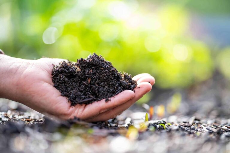 UE suelos agrícolas secuestrar carbono atmosférico disminuir CO2 atmósfera