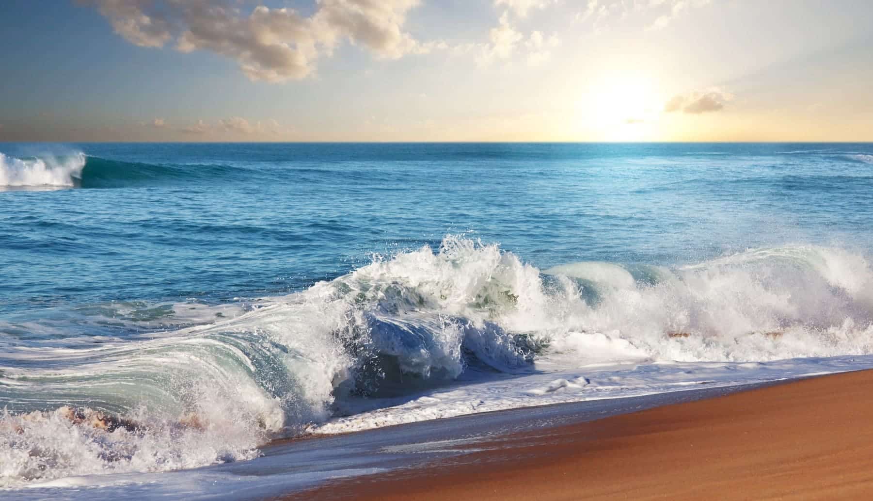 economía océanos sobrepesca contaminación residuos