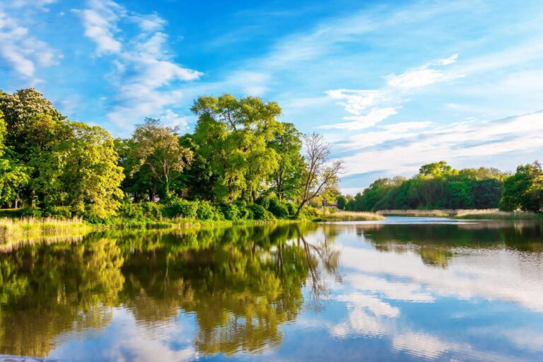 Bosques ribera crecidas ríos cambio climático
