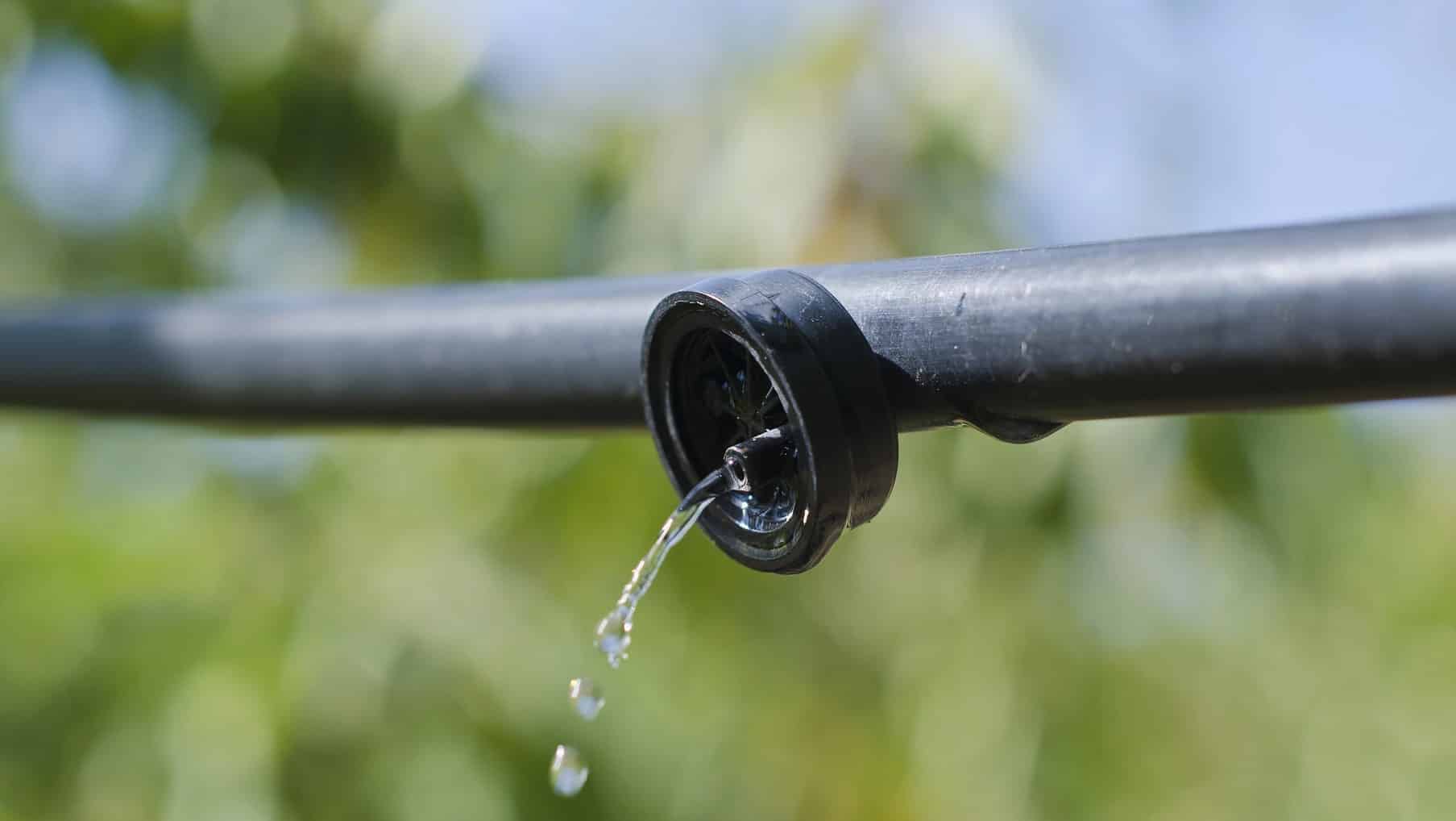 modernización regadíos prioridad Castilla León