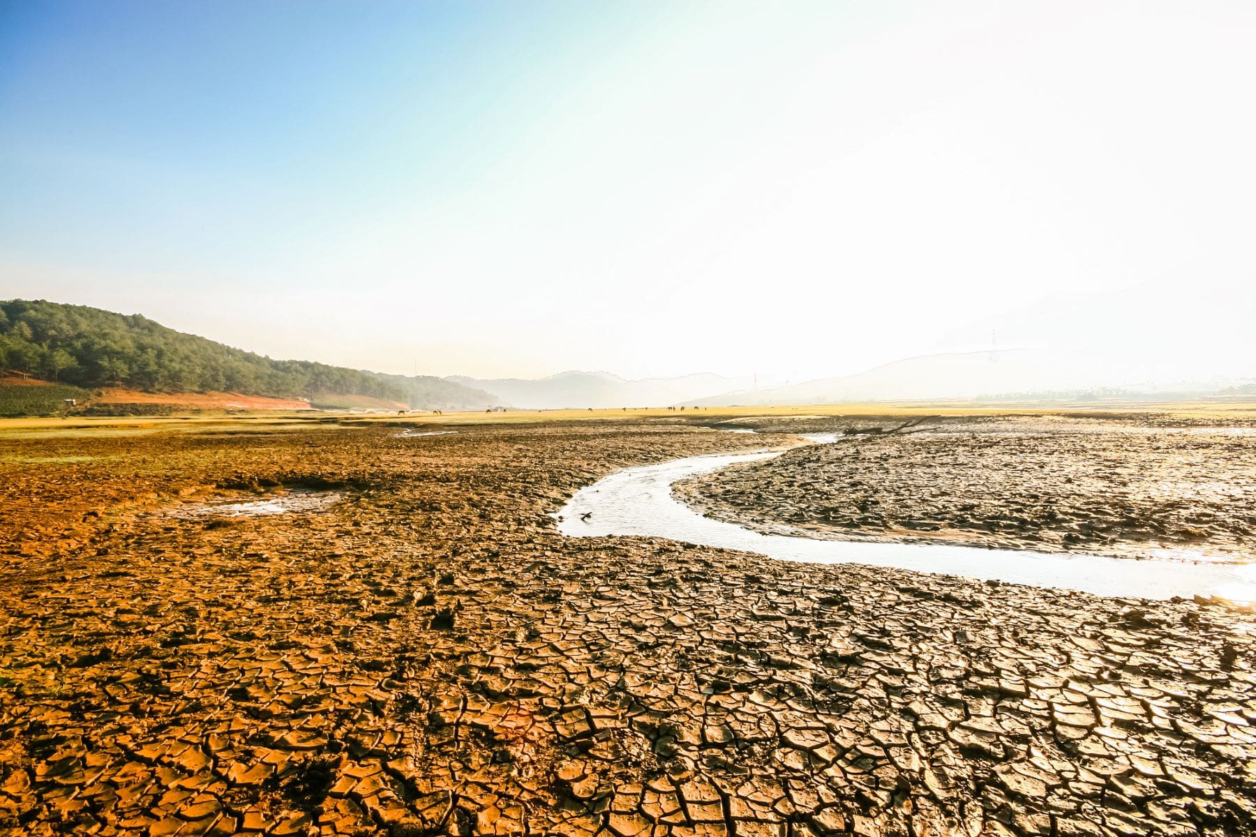 sequía lagos patagónicos