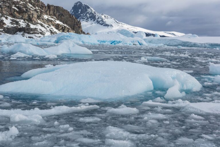 Corriente Circumpolar Antártica perderá fuerza 2050 deshielo Antártida