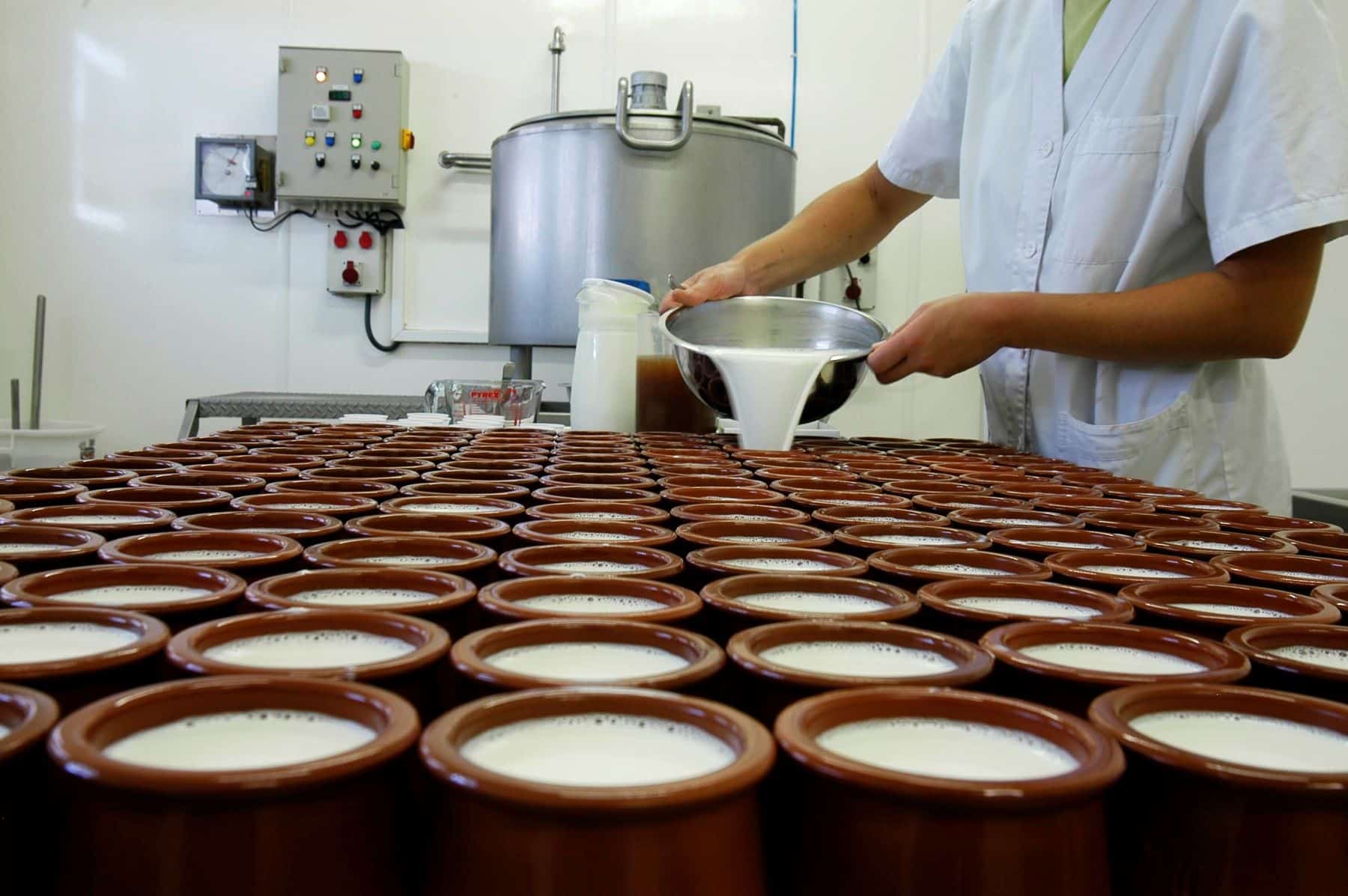 Red Impulso Transformación Alimentaria RITA SEAE