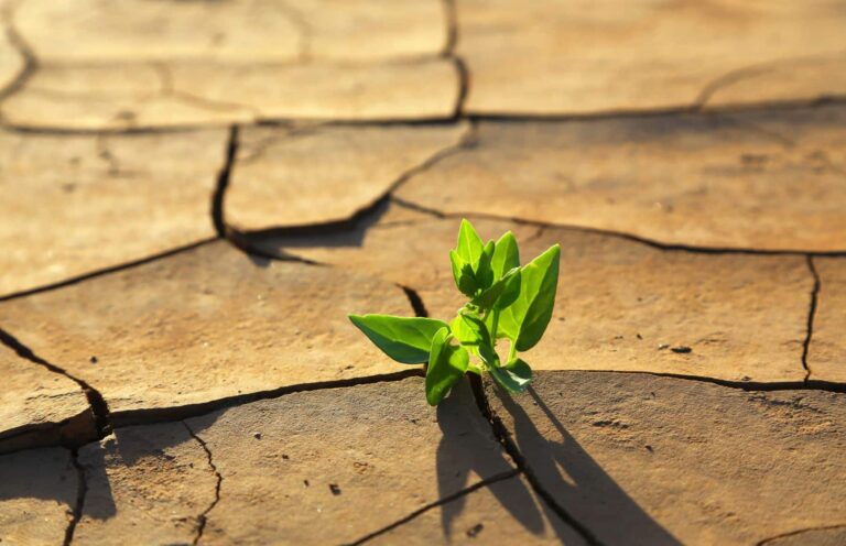 corporaciones gallegas acciones cambio climático