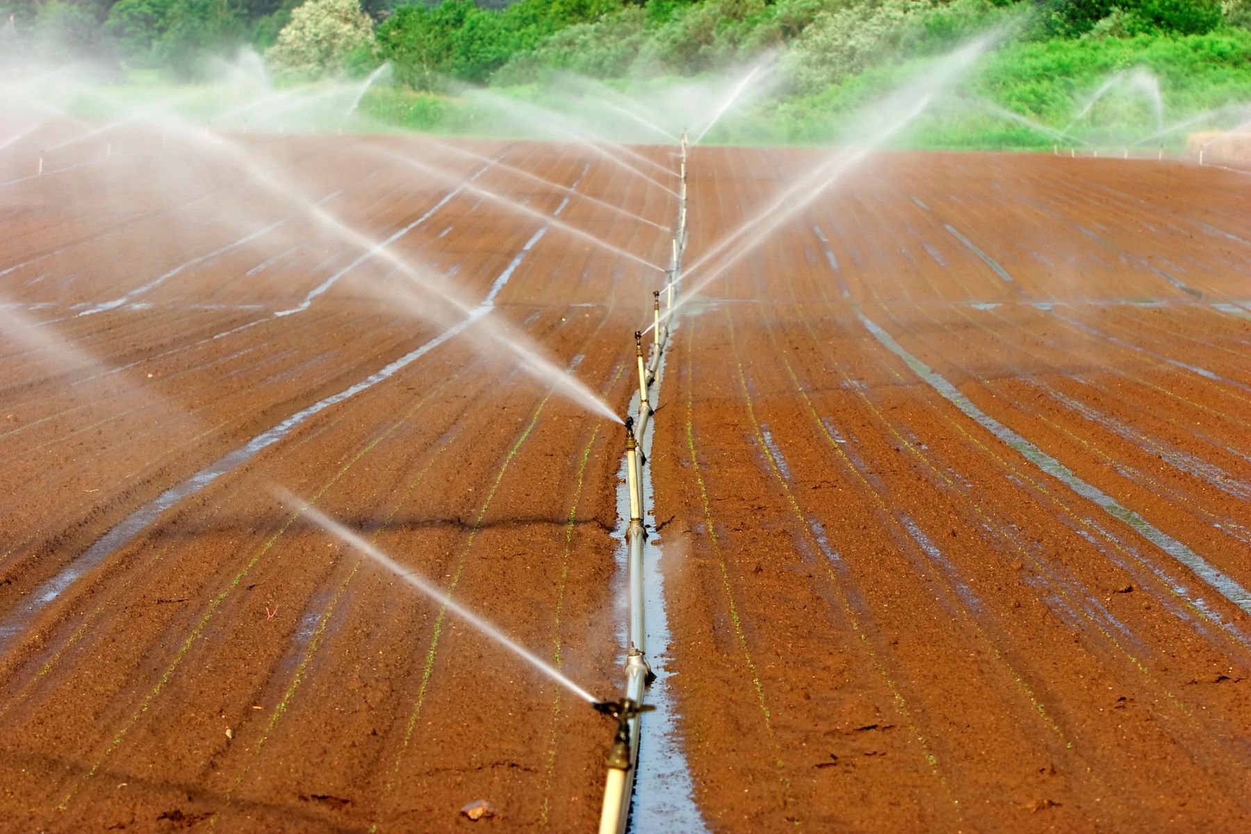 León ayudas eficiencia energética regadíos