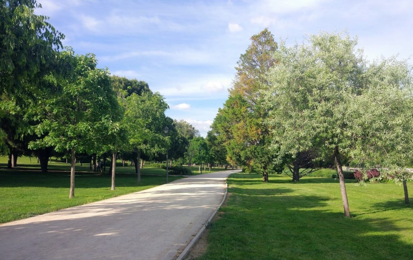Madrid agilizará proyectos estudios técnicos zonas verdes gestión del agua