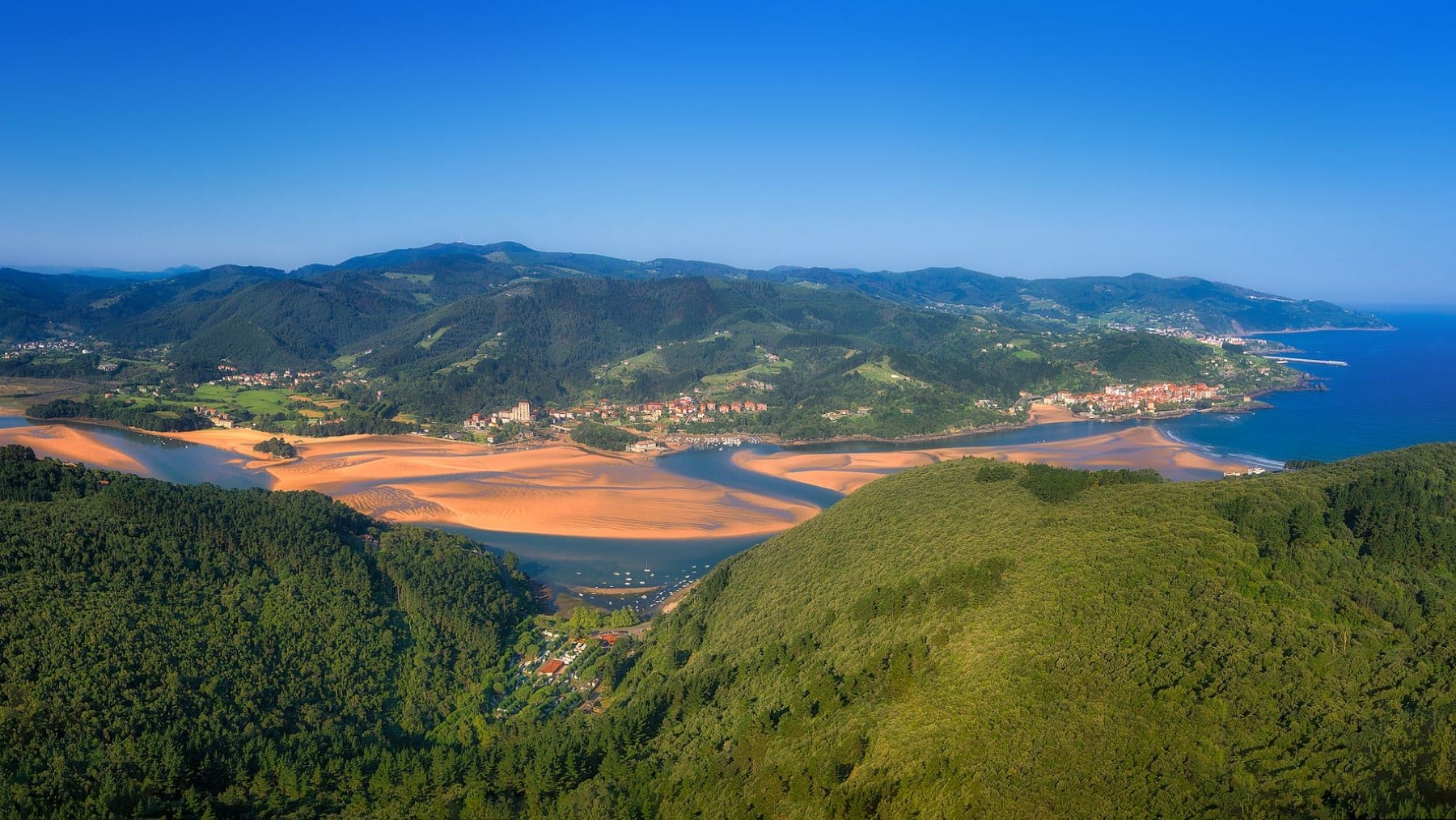 Museo Guggenheim destrucción Reserva Biosfera Urdaibai