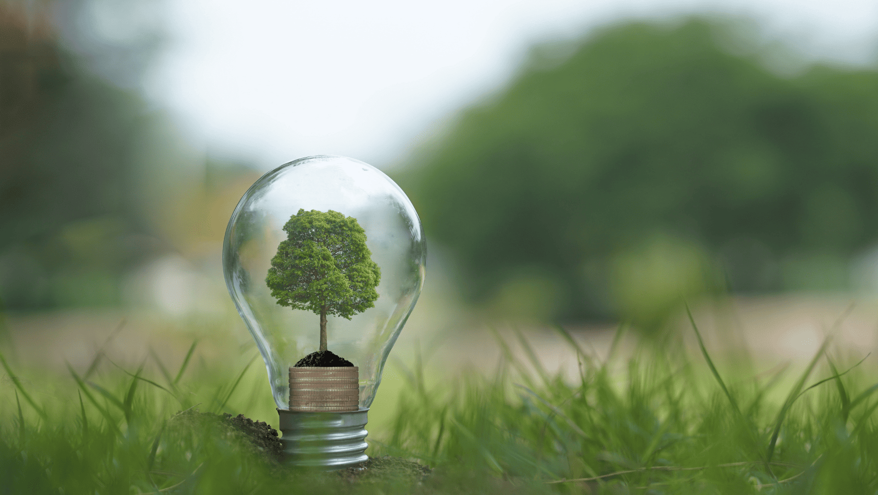 Navarra transición energética entidades locales