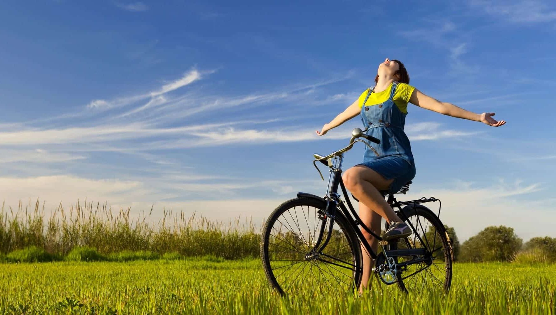 One Health salud seres humanos animales ecosistemas