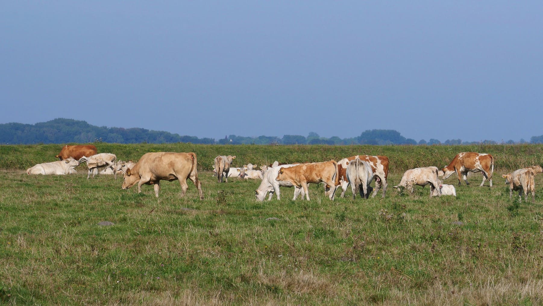 Pazuengos Rioja certificación ecológica ganadería extensiva