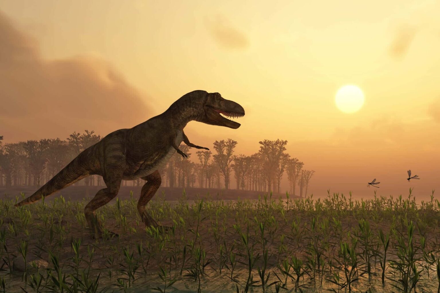 Petrustitan Hungaricus Y Uriash Kadici Las Dos Nuevas Especies De petrustitan-hungaricus-y-uriash-kadici-las-dos-nuevas-especies-de